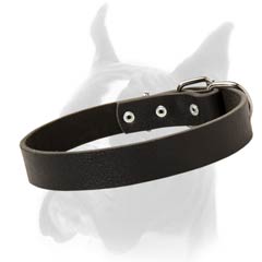 Full Grain Leather Collar of Moderate Width for Boxer