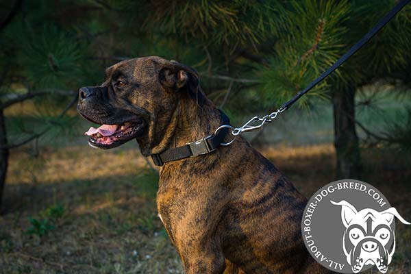 Easy Adjustable Nylon Boxer Collar