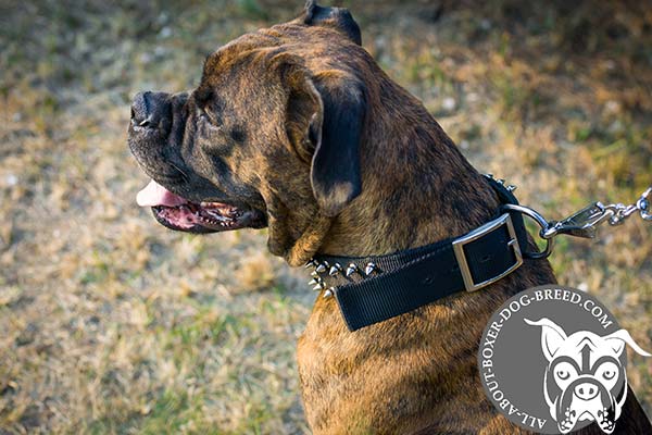 Easy Adjustable Nylon Boxer Collar 