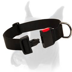 Strong All-Weather Collar for Boxer Made of Nylon