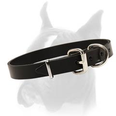 Universal Boxer Collar