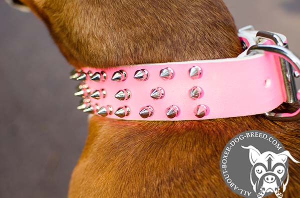 Spiked Leather Boxer Collar for Walking