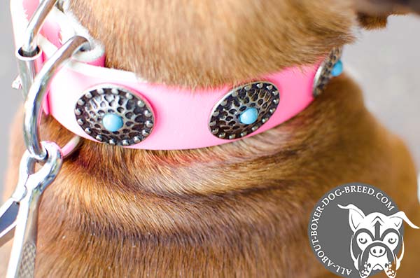 Stylish Leather Boxer Collar with D-Ring  
