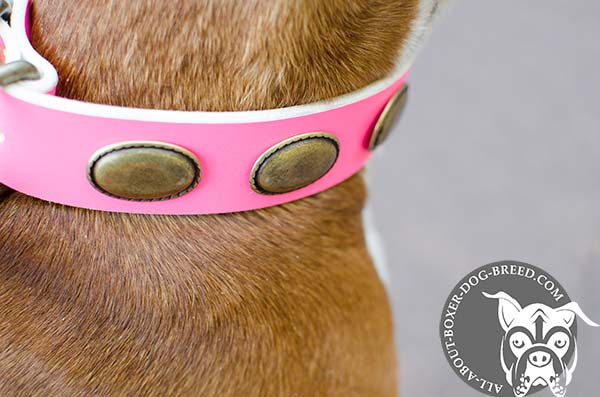 Pink Leather Collar with Brass Buckle and D-Ring for Boxer