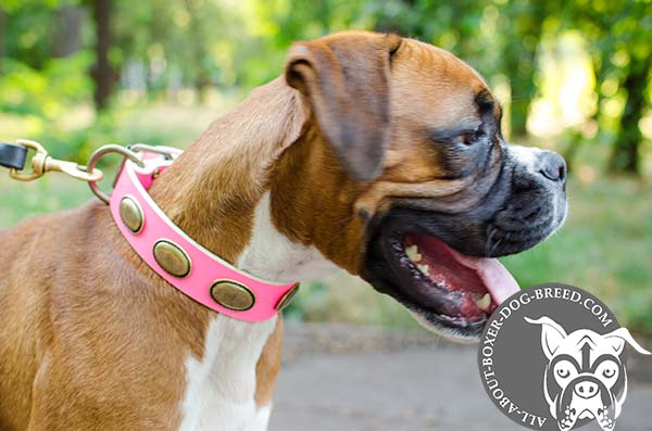 Pink Leather Boxer Collar Decorated Oval Plates