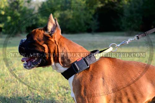 Practical Nylon Collar with Handle for All-Weather Use