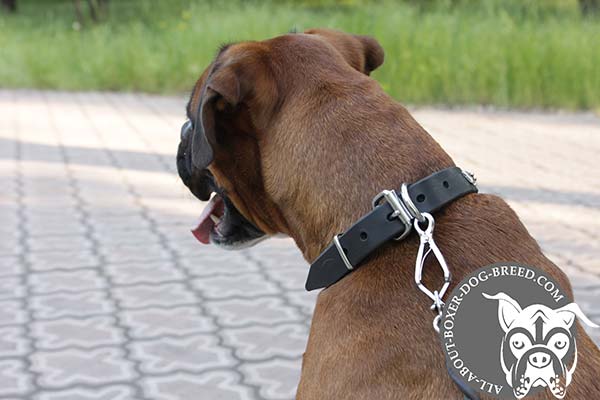Leather Decorated Boxer Collar with Brass Buckle and D-Ring