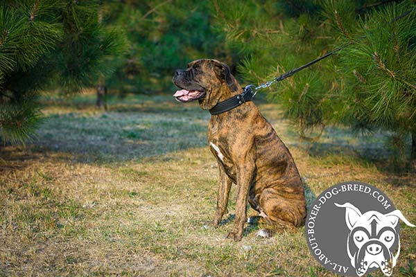 Securely Stitched Leather Padded Collar for Boxer