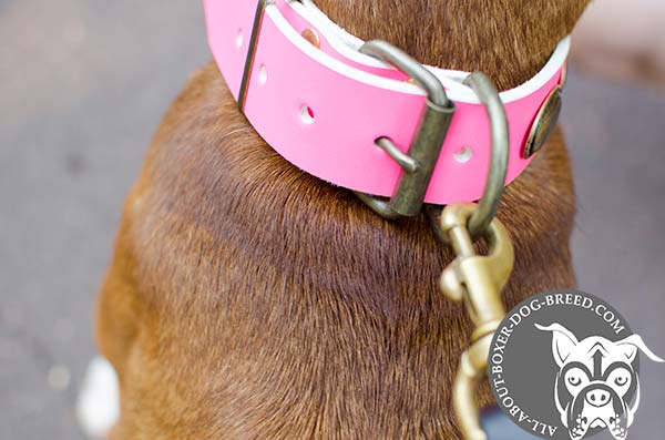 Strong Pink Leather Collar with Brass D-Ring for Boxer 
