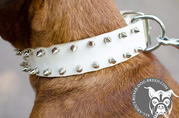 Multifunctional White Leather Boxer Collar