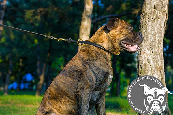 Round Leather Dog Choke Collar for Boxer