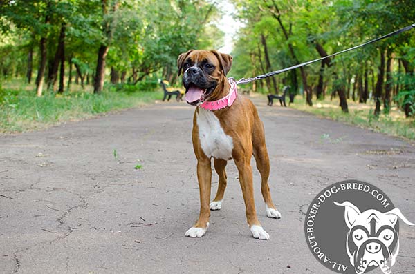 Top Quality Leather Dog Collar for Boxer