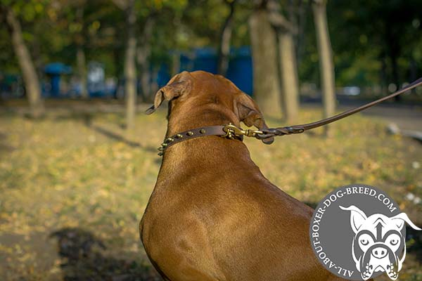 Spiked Leather Dog Collar with Brass Buckle and D-Ring for Boxer