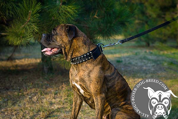 Strong Decorated Nylon Boxer Collar