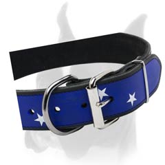 A collar for true American Boxer