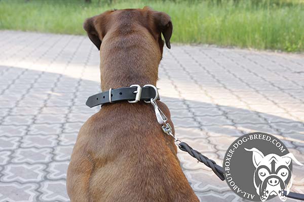 Leather Boxer Collar with Nickel Plated Buckle and D-Ring