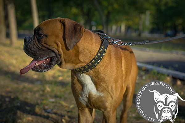 Handmade Leather Boxer Collar for Walking