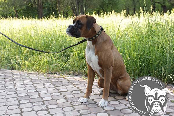 Boxer Collar Made of Full Grain Leather
