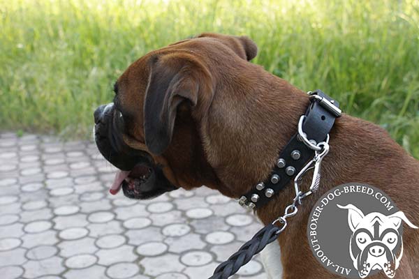 Reliable Leather Boxer Collar with Reliable Hardware