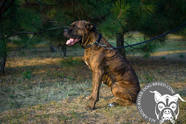 Reliable Wide Nylon Boxer Collar
