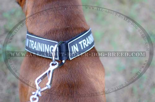 1 1/2 Inches Wide Nylon Collar with Patches for All-Weather Use