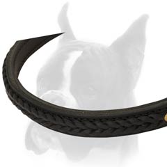 Nice and pretty Dog Collar