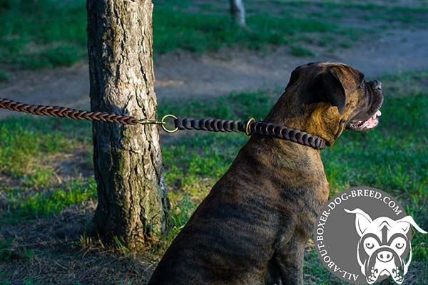 Reliable Leather Choke Collar for Boxer 