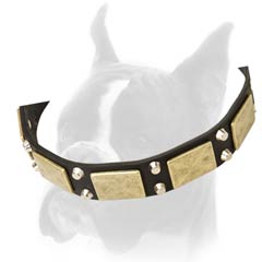 Wide Solid Leather Collar with Massive Hardware and Beautiful Olden Times Decoration