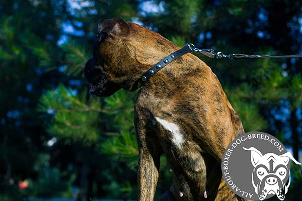 Strong Leather Boxer Collar for Walking and Training