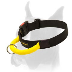 Nylon Boxer Collar for much durability