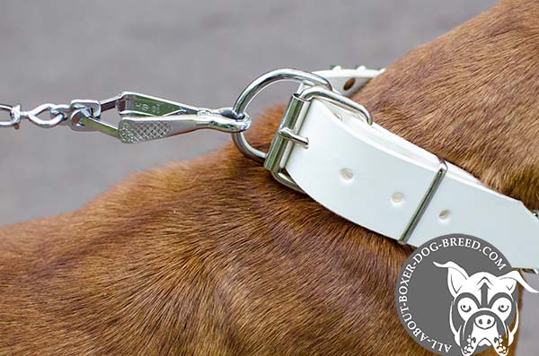 Easy Adjustable White Boxer Collar