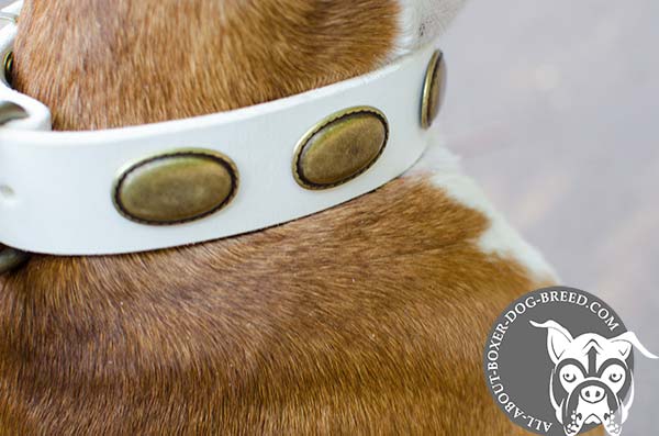 Awesome White Leather Boxer Collar