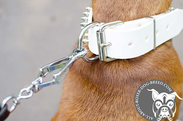 White Leather Buckled Collar for Boxer