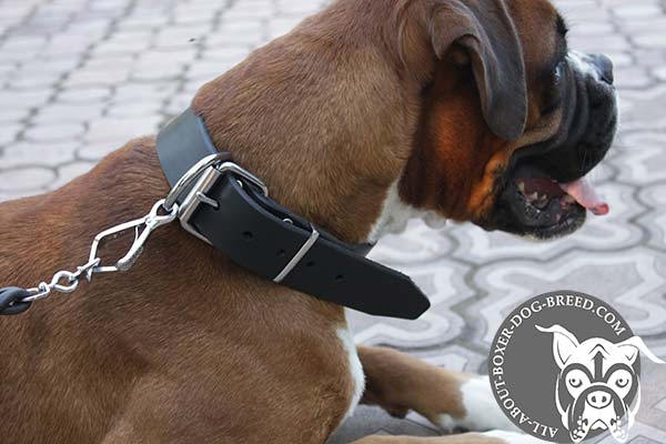 Adjustable Leather Boxer Collar with Nickel Plated Hardware