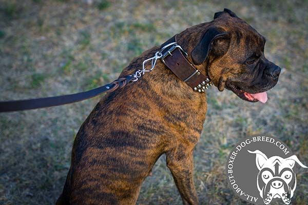 Boxer Collar with D-Ring for Lead
