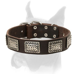 War-like vintage massive plates for leather Boxer collar