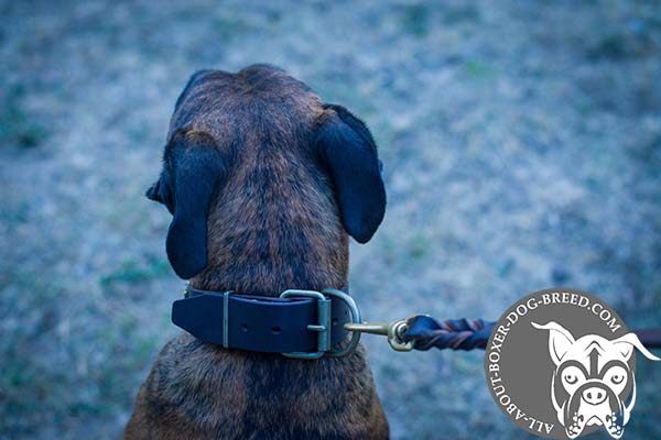 Leather Boxer Collar with Brass Hardware