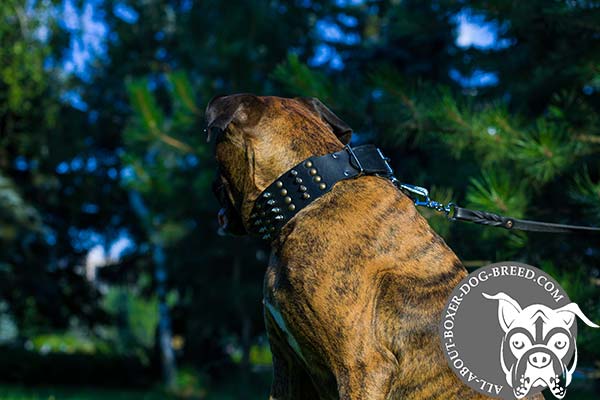 Adjustable Boxer Collar with Strong Buckle and D-Ring