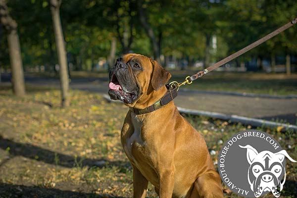 Reliable Leather Boxer Colllar with Brass Plates