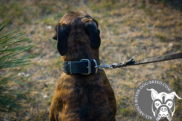 Easy Adjustable Leather Collar for Boxer