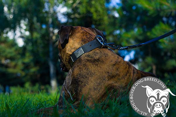 Leather Dog Collar with Reliable Buckle for Boxer 