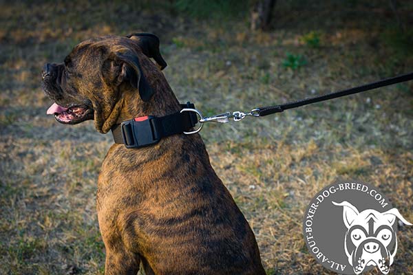 Comfortable Nylon Boxer Collar with Quick Release