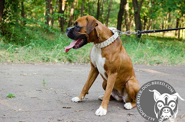Snowy Leather Dog Collar for Boxer