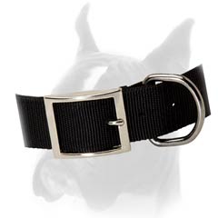 Boxer stylish Nylon Collar
