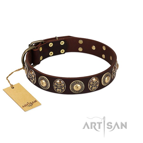Incredible genuine leather dog collar for everyday walking