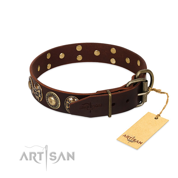 Strong embellishments on handy use dog collar