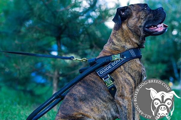 Leather Boxer Guide Harness with D-Ring for Lead