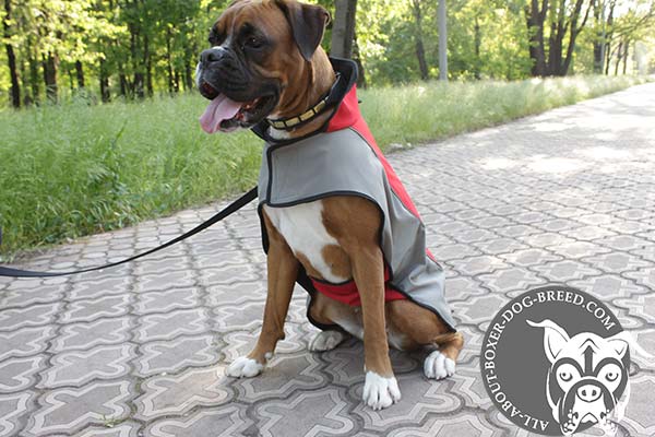 Stand up Collar on Boxer Coat