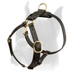 4-way adjustable Leather Harness
