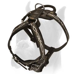 Beautiful Harness for Traveling